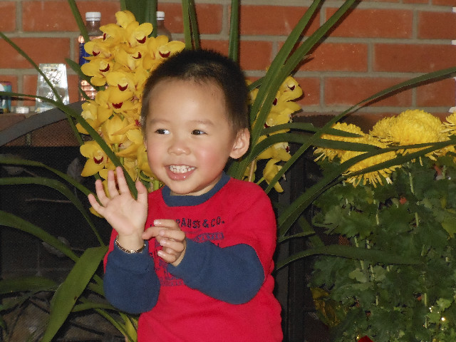 Ong ngoai pictures 039