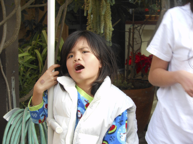 Ong ngoai pictures 080