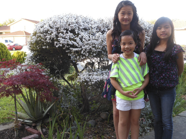 Ong ngoai pictures 146