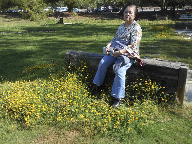 Ong ngoai pictures 233