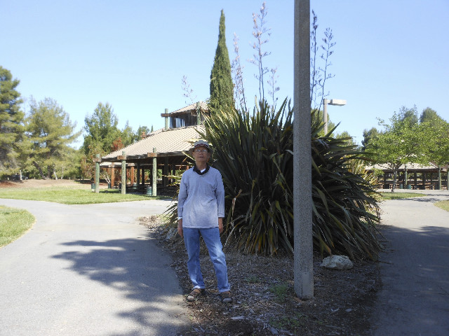 Ong ngoai pictures 235