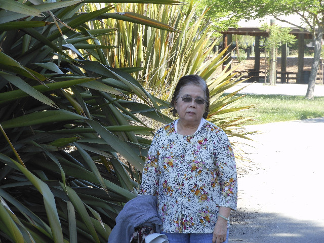 Ong ngoai pictures 237