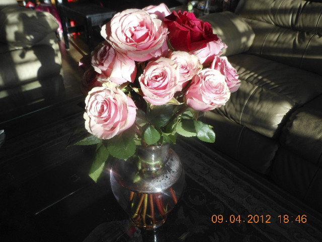 Ong ngoai pictures 295