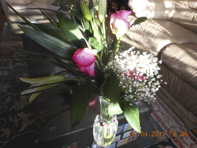 Ong ngoai pictures 296