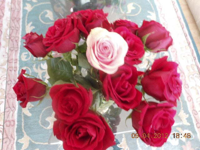 Ong ngoai pictures 299