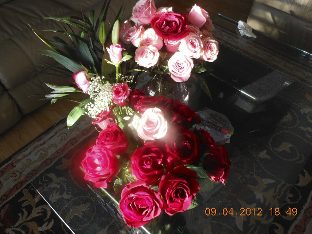 Ong ngoai pictures 301