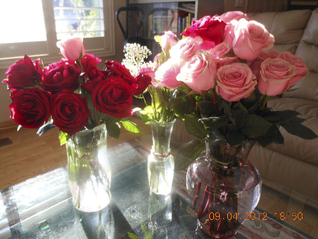 Ong ngoai pictures 302