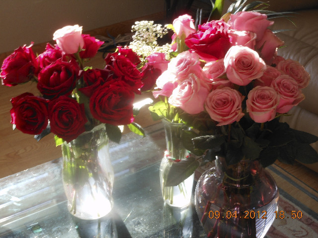 Ong ngoai pictures 303