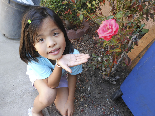 Ong ngoai pictures 442