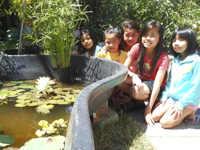 Ong ngoai pictures 486