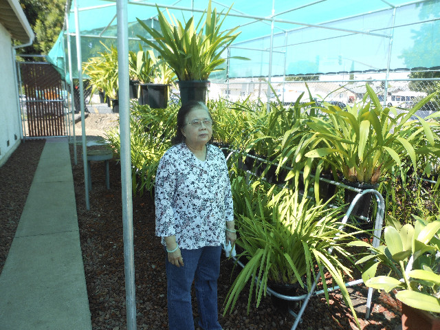 Ong ngoai pictures 489