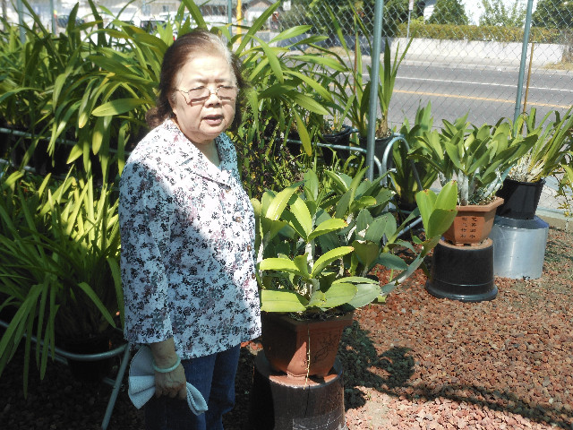 Ong ngoai pictures 490