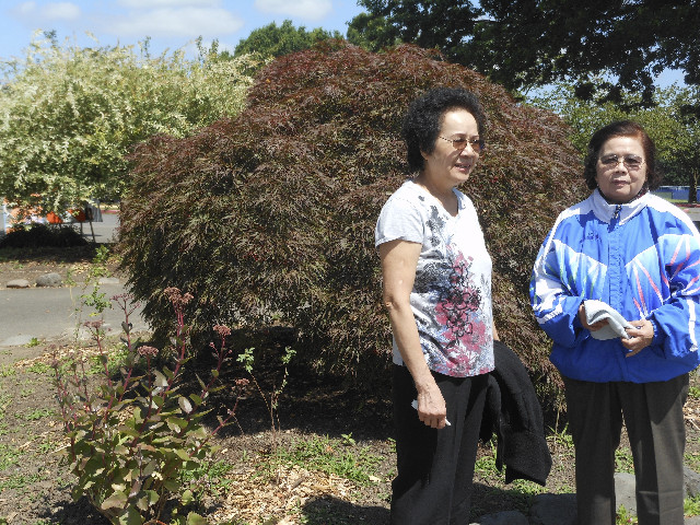 Ong ngoai pictures 559-435340951