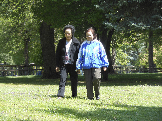 Ong ngoai pictures 564