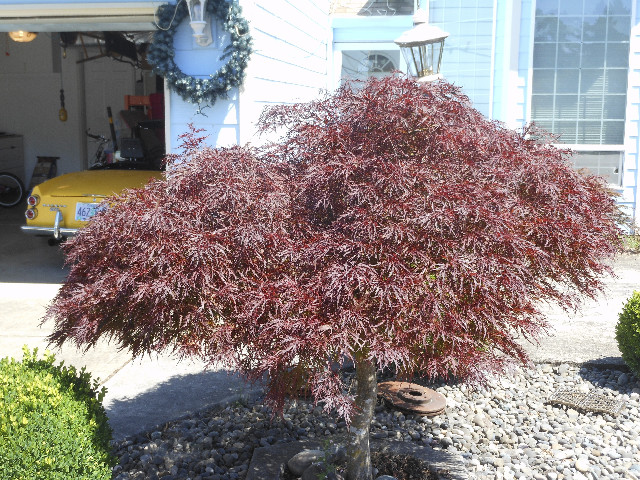 Ong ngoai pictures 613