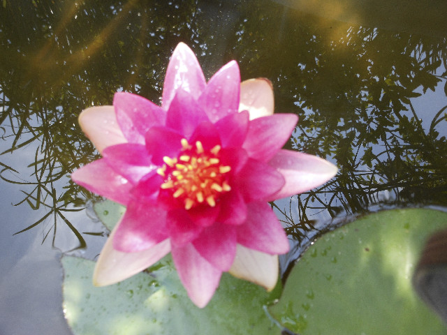 Ong ngoai pictures 666