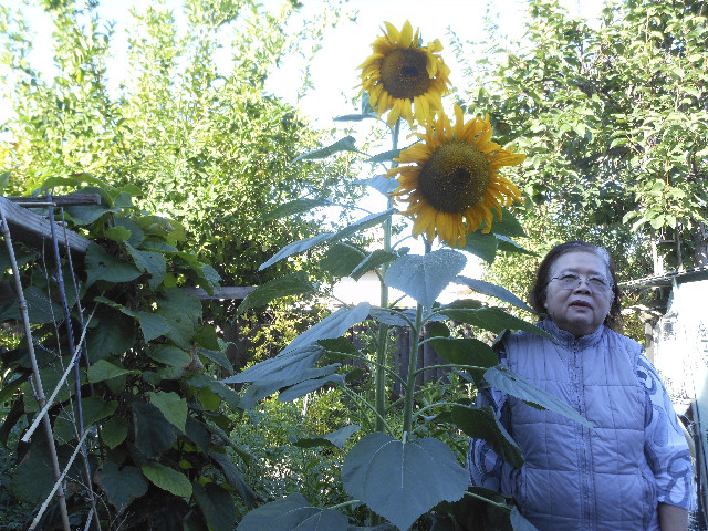 Ong ngoai pictures 724