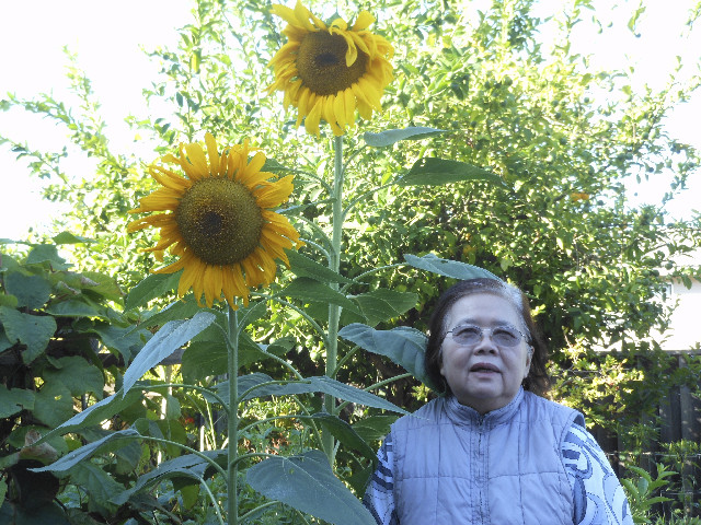 Ong ngoai pictures 726