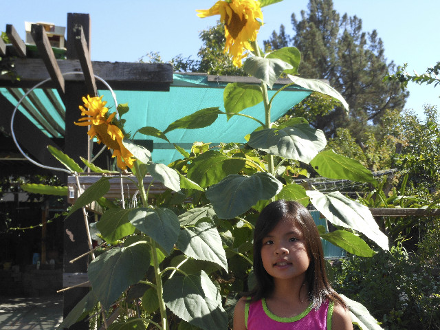 Ong ngoai pictures 729