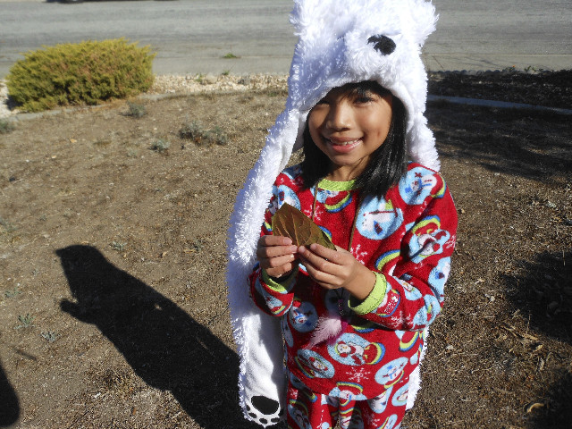 Ong ngoai pictures 780