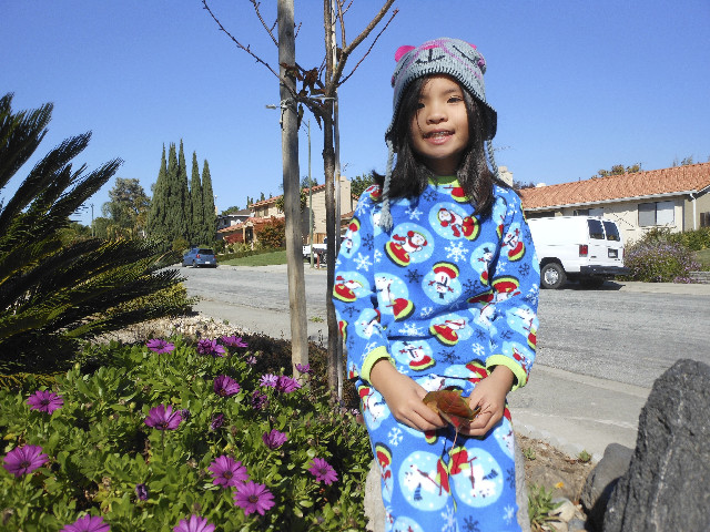 Ong ngoai pictures 784