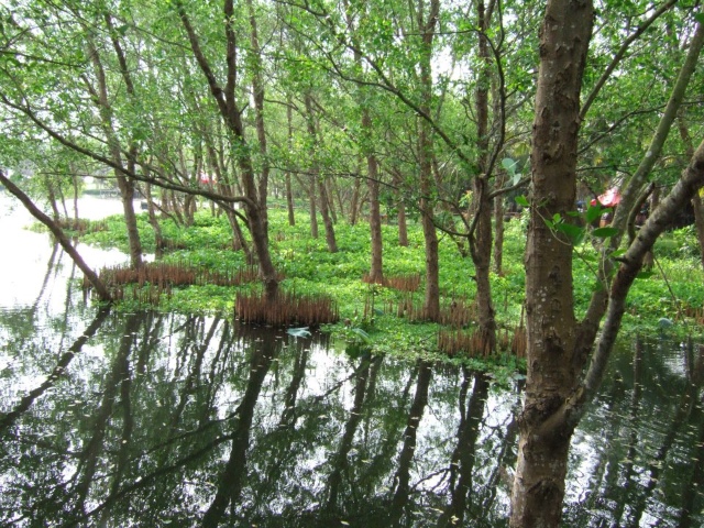 538473 172493009538118 100003322591643 263086 1933400751 n