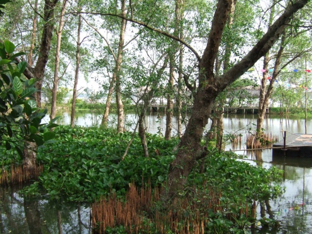 541858 172493116204774 100003322591643 263089 692306967 n