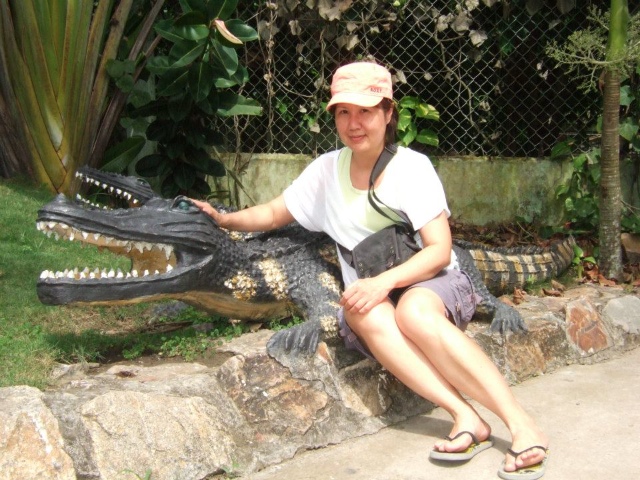 A fake crocodile