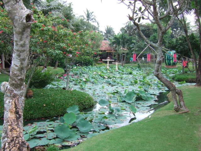 It is a garden I think