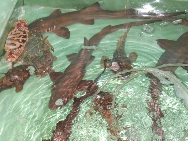 424954 164319713688781 100003322591643 239489 520733411 n