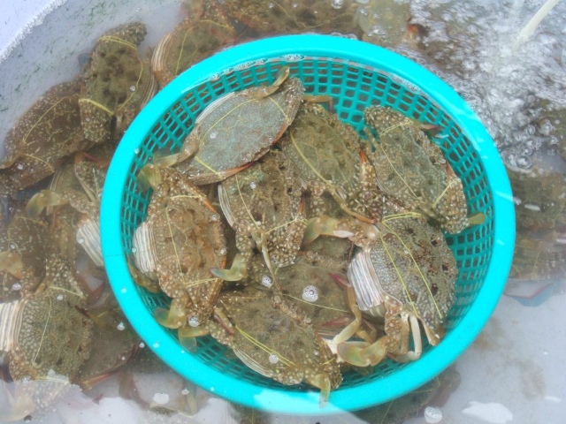 426850 164319567022129 100003322591643 239484 1262074870 n