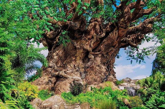 AK AK 20160630 7650743534