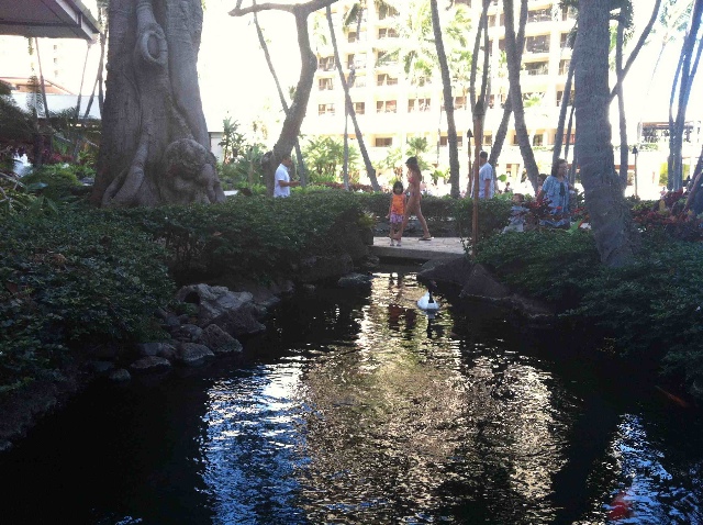 GalleryImage-1615512081