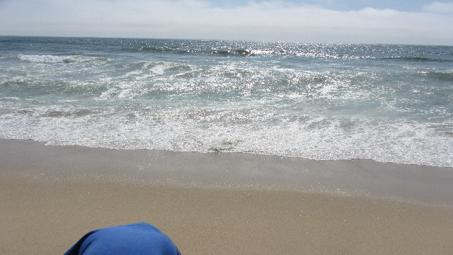 Anna's Friends, SF, Beach JUNE 2013 506