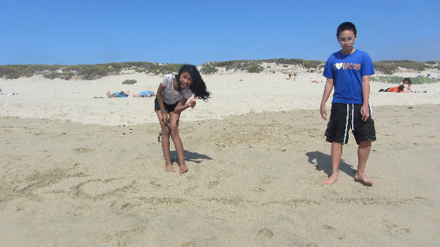 Anna's Friends, SF, Beach JUNE 2013 510