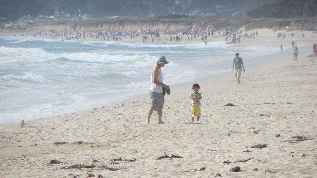 Anna's Friends, SF, Beach JUNE 2013 522