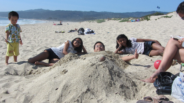 Anna's Friends, SF, Beach JUNE 2013 536