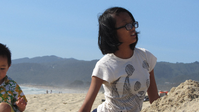 Anna's Friends, SF, Beach JUNE 2013 539