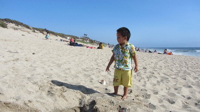 Anna's Friends, SF, Beach JUNE 2013 552