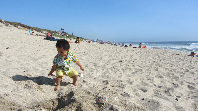 Anna's Friends, SF, Beach JUNE 2013 553