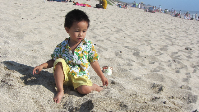 Anna's Friends, SF, Beach JUNE 2013 554