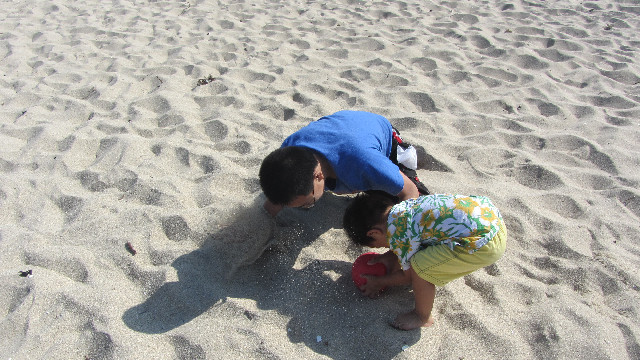 Anna's Friends, SF, Beach JUNE 2013 563