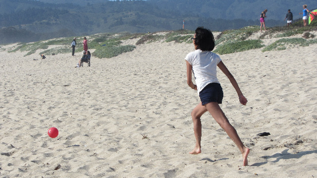 Anna's Friends, SF, Beach JUNE 2013 566