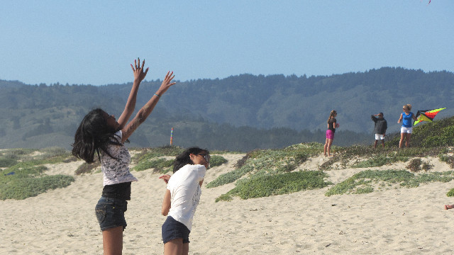 Anna's Friends, SF, Beach JUNE 2013 570