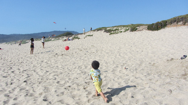 Anna's Friends, SF, Beach JUNE 2013 571
