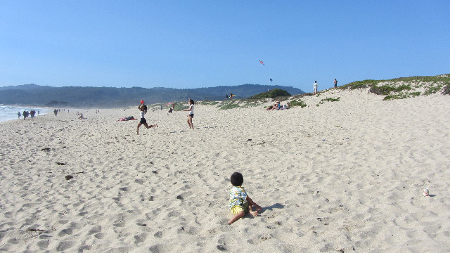 Anna's Friends, SF, Beach JUNE 2013 572