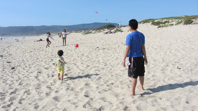 Anna's Friends, SF, Beach JUNE 2013 573