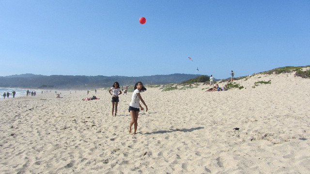 Anna's Friends, SF, Beach JUNE 2013 574