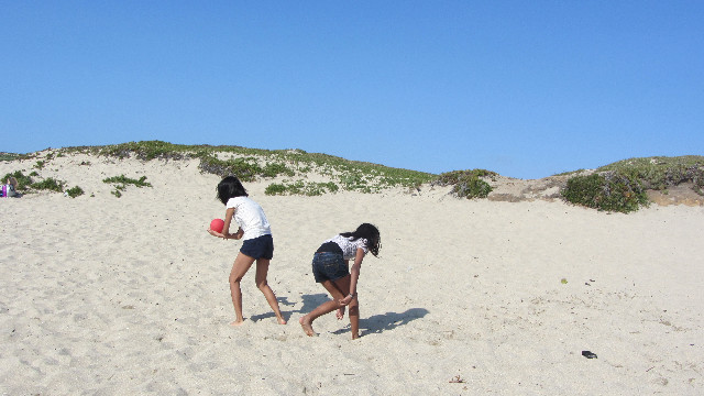 Anna's Friends, SF, Beach JUNE 2013 575