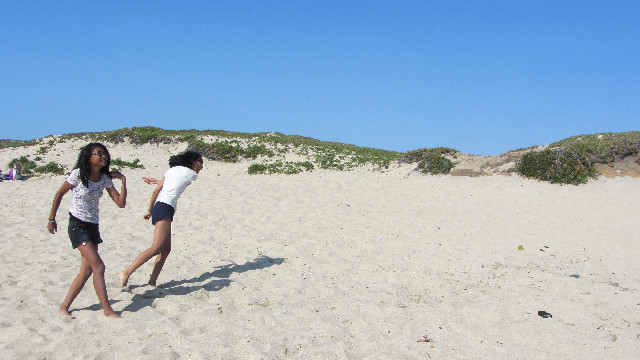 Anna's Friends, SF, Beach JUNE 2013 576